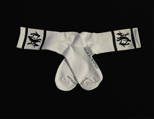 Btween Linez Sensational socks